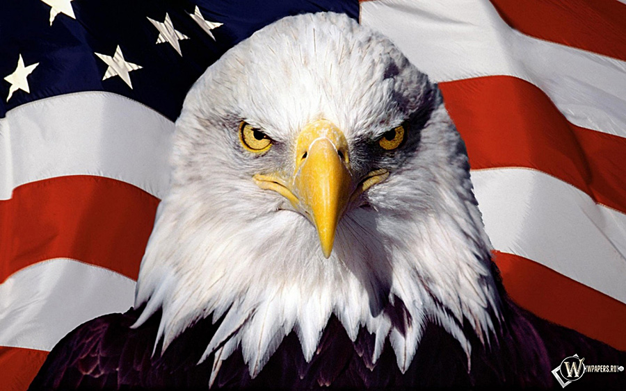орел США